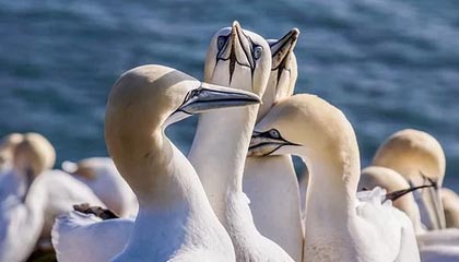 乐鱼体育登录-校园足球俱乐部数量激增，校园足球俱乐部的作用