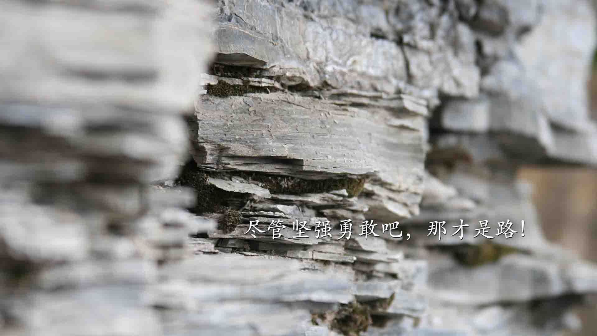 运动行为数据跨平台共享机制与隐私保护对策，运动健康数据共享在哪里
