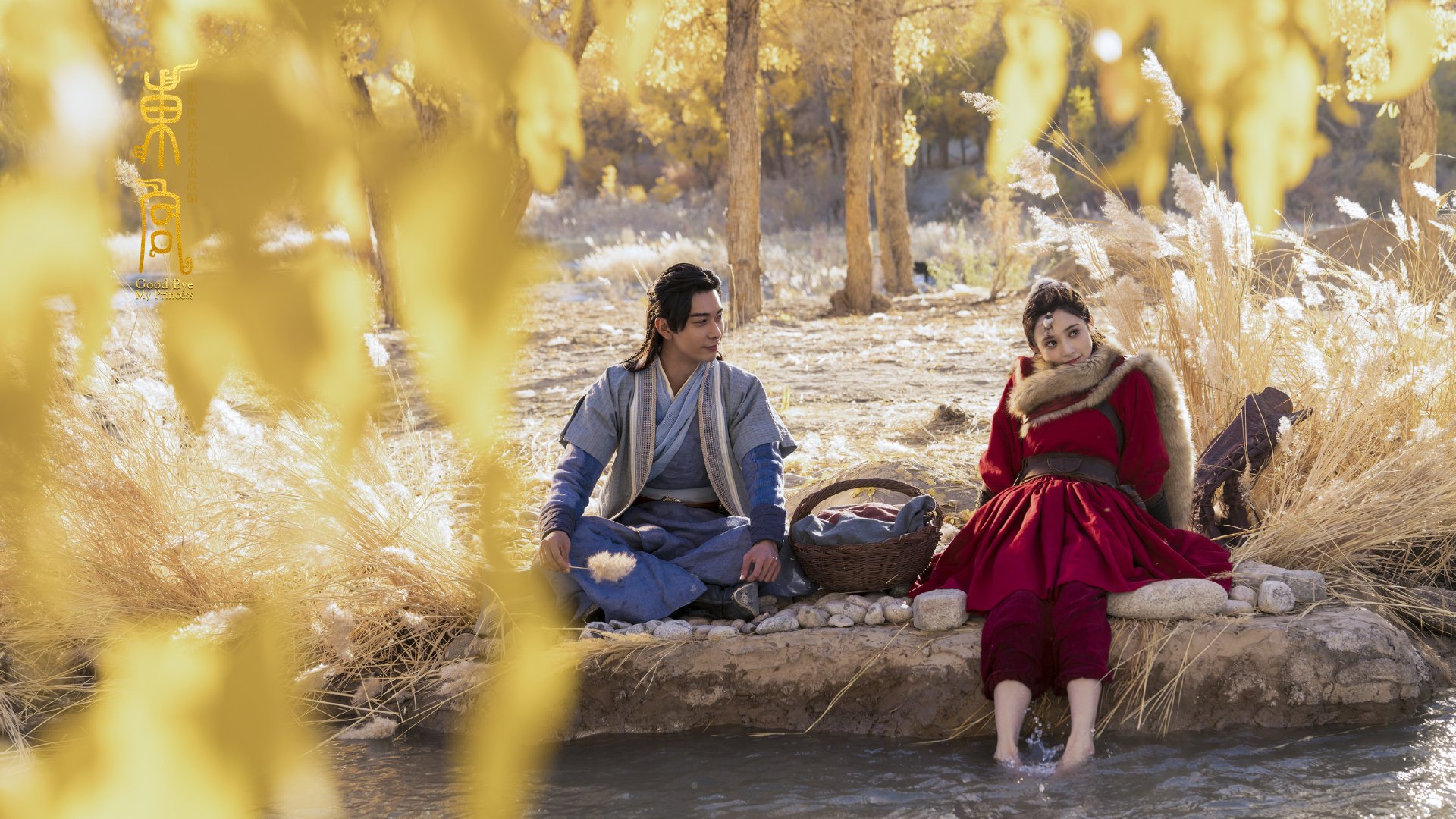 教练暂停安排背后的时间计算逻辑,教练停职