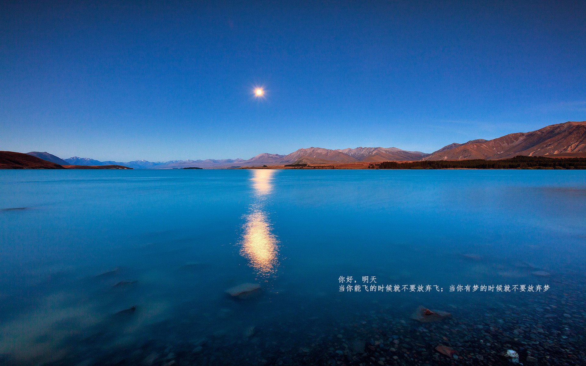 世界杯精彩绝伦:每一秒都精彩无限!,世界杯精彩比赛