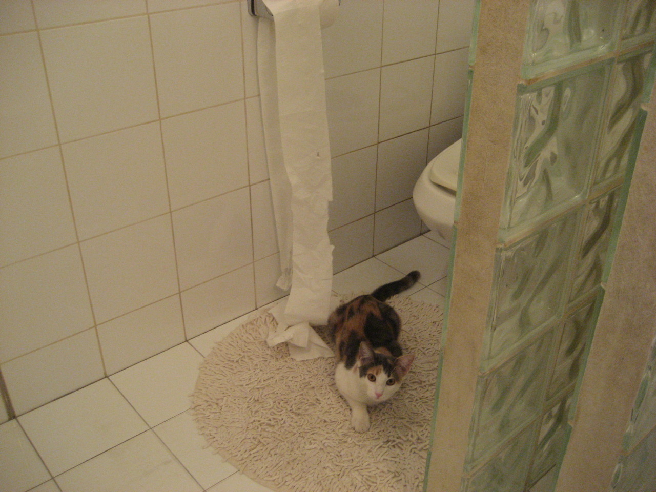 中小学篮球推广篮球礼仪教育培养良好运动习惯,中小学生篮球训练教案