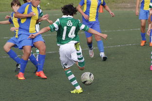 Leyu Sport下载-国家体育场运营中心发布暑期开放时间公告，国家体育场百度百科