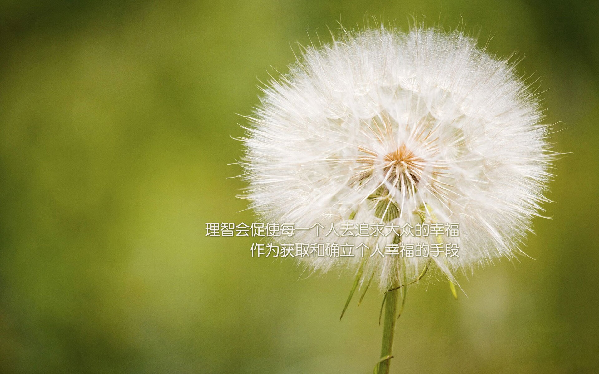 乐鱼vip-女足青训营逐步推行分层管理实现按需定制训练，女足精英训练营