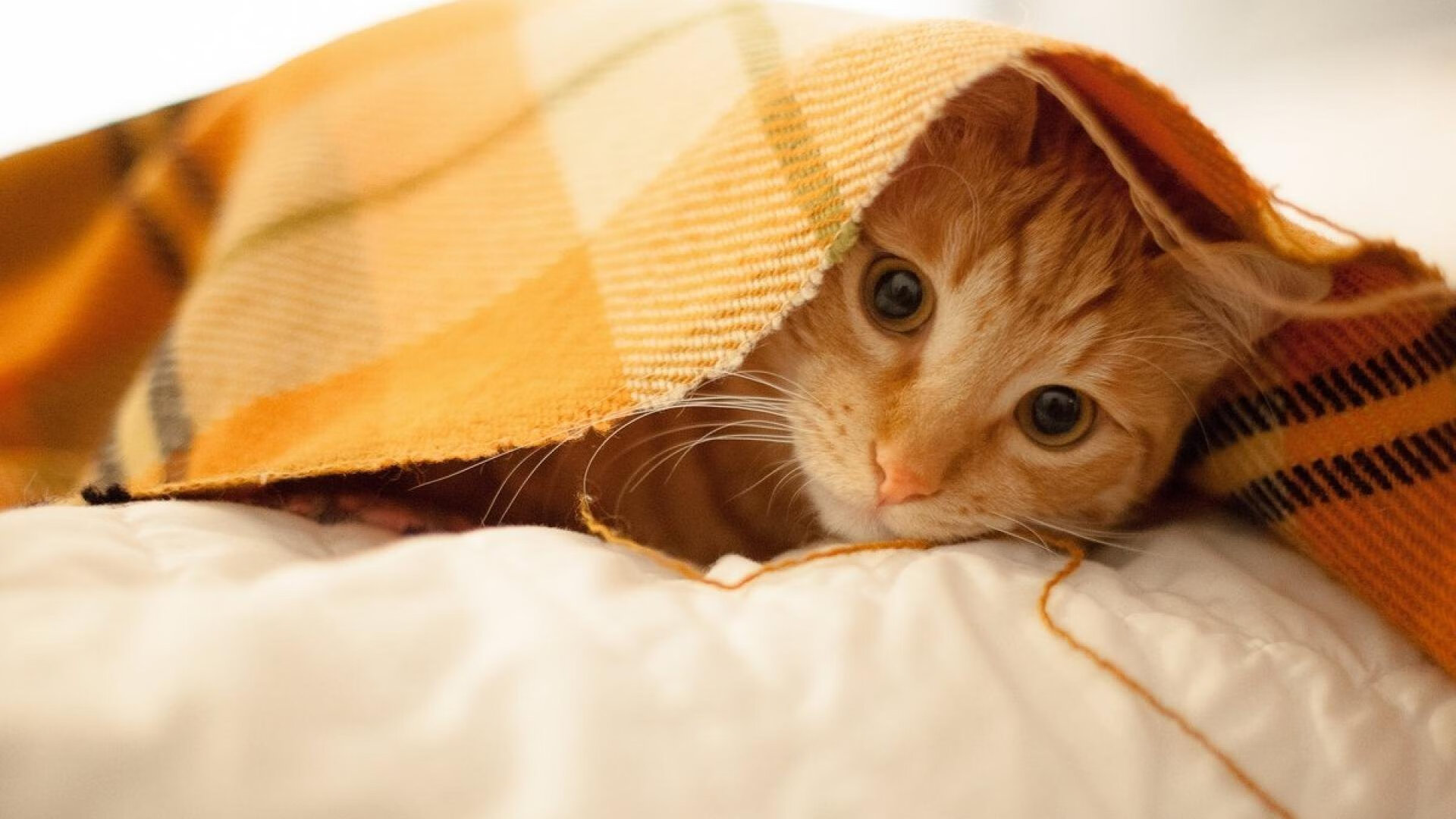 朱婷分享球场压力调节小技巧,朱婷击球点多高