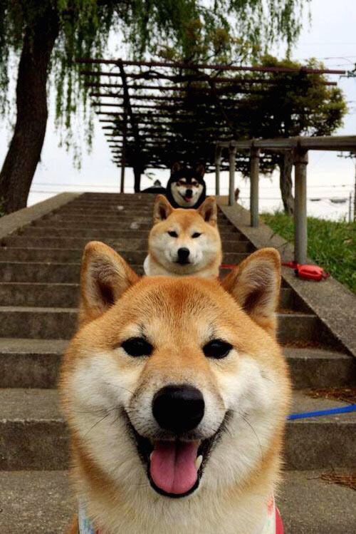 leyu.com-欧洲杯终极对决：战术大师的辉煌表现，欧洲杯终极之战