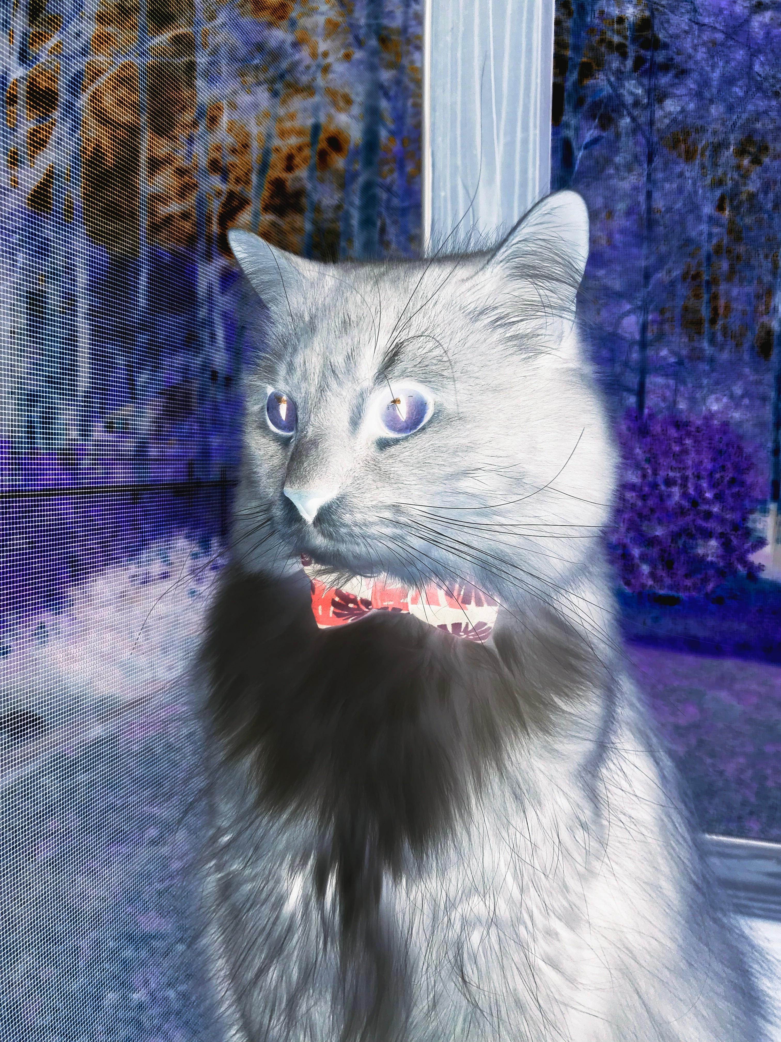 篮网训练营新增对抗模拟器增强防守感知能力，篮网 训练