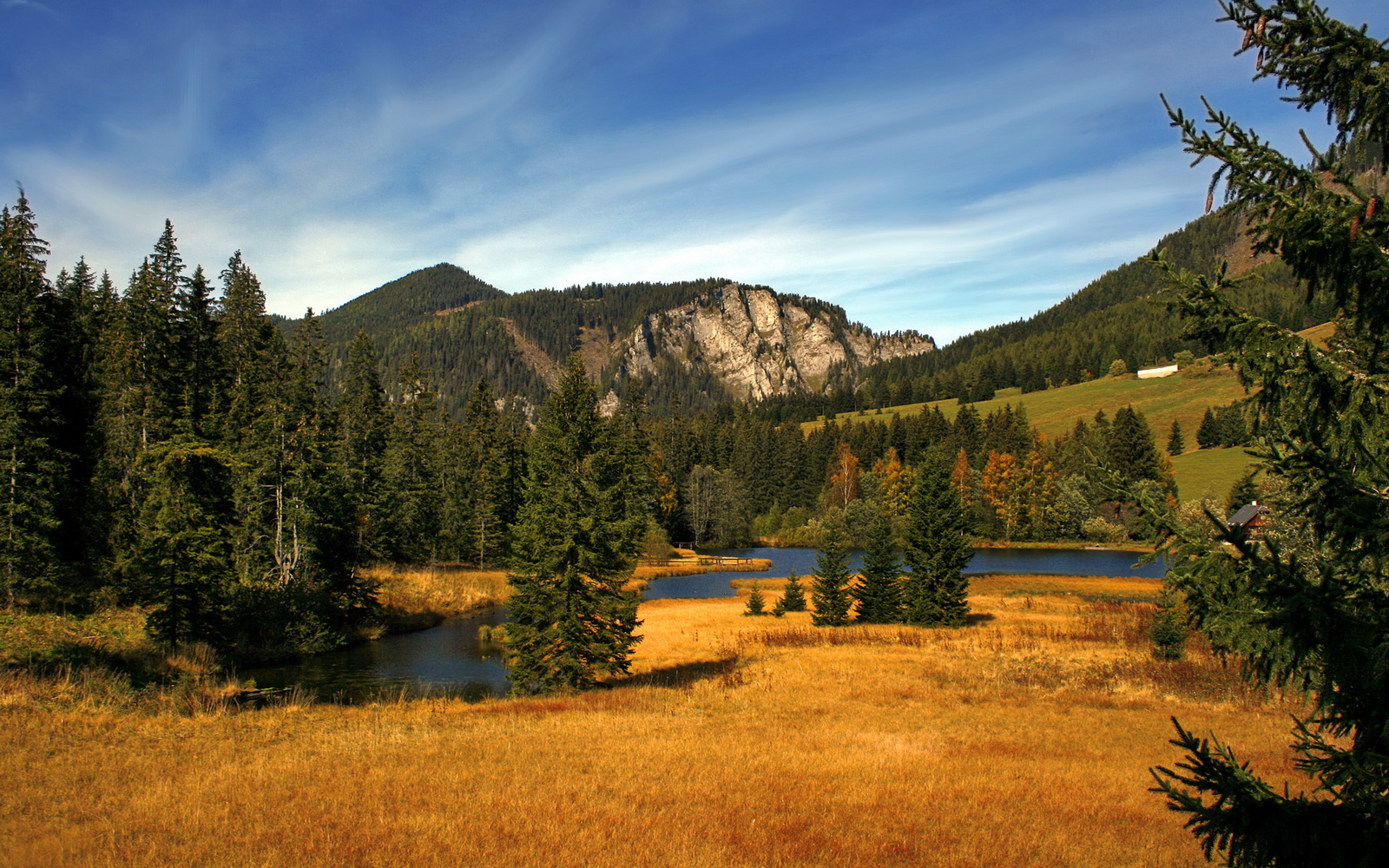 老将坚持出战为年轻球员树立榜样引发网友点赞